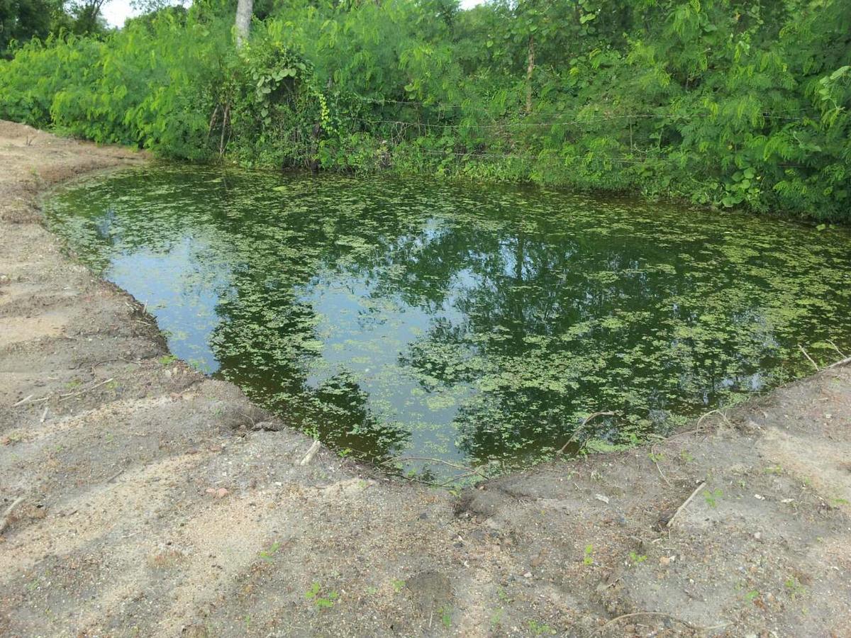 Captain'S Bird Safari Lodge Puttalam Luaran gambar