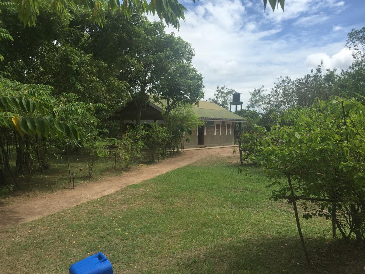 Captain'S Bird Safari Lodge Puttalam Luaran gambar