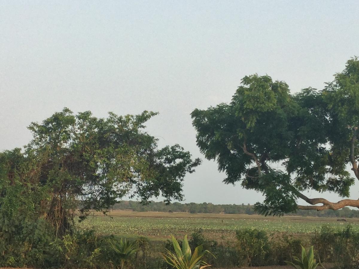 Captain'S Bird Safari Lodge Puttalam Luaran gambar