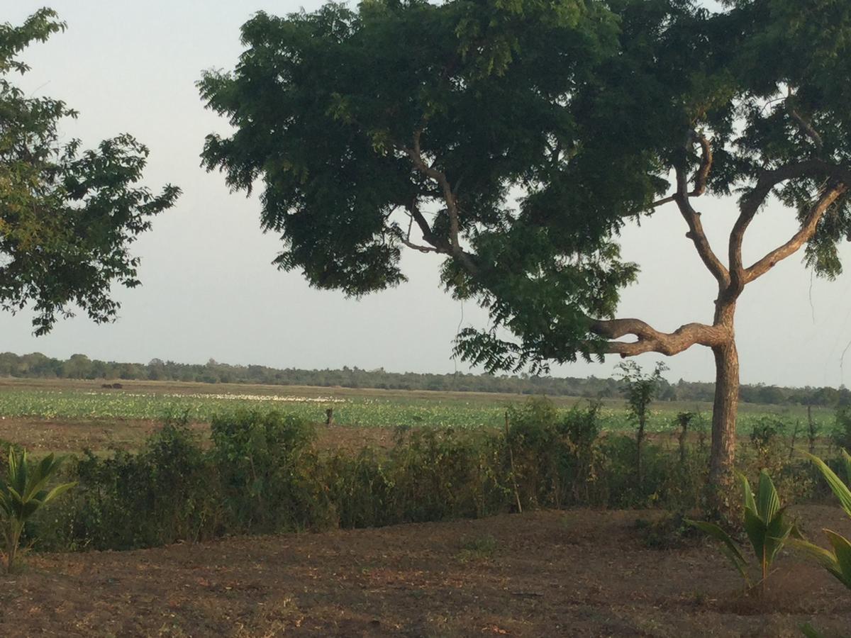 Captain'S Bird Safari Lodge Puttalam Luaran gambar