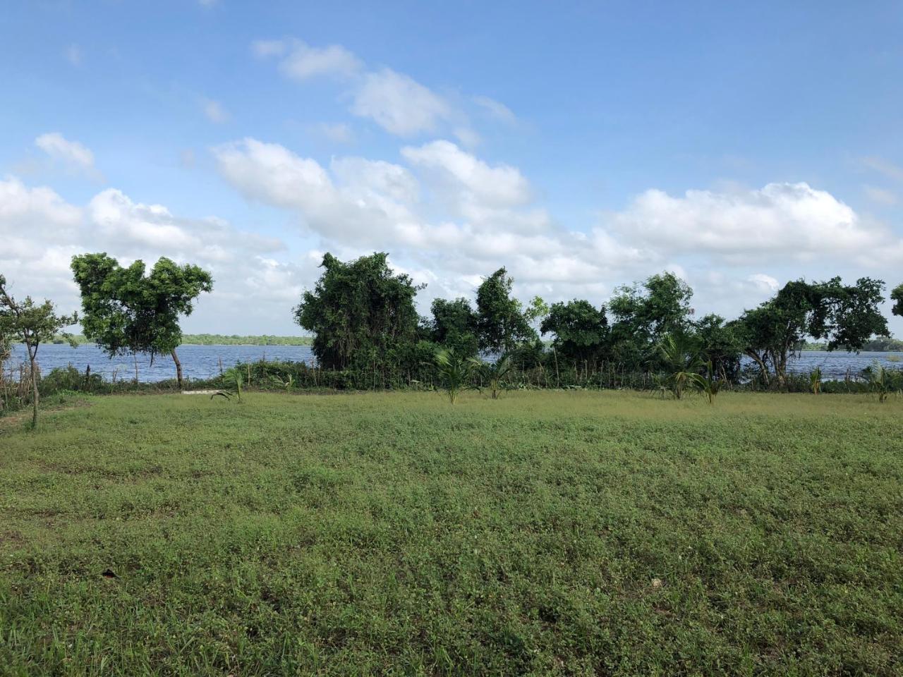 Captain'S Bird Safari Lodge Puttalam Luaran gambar