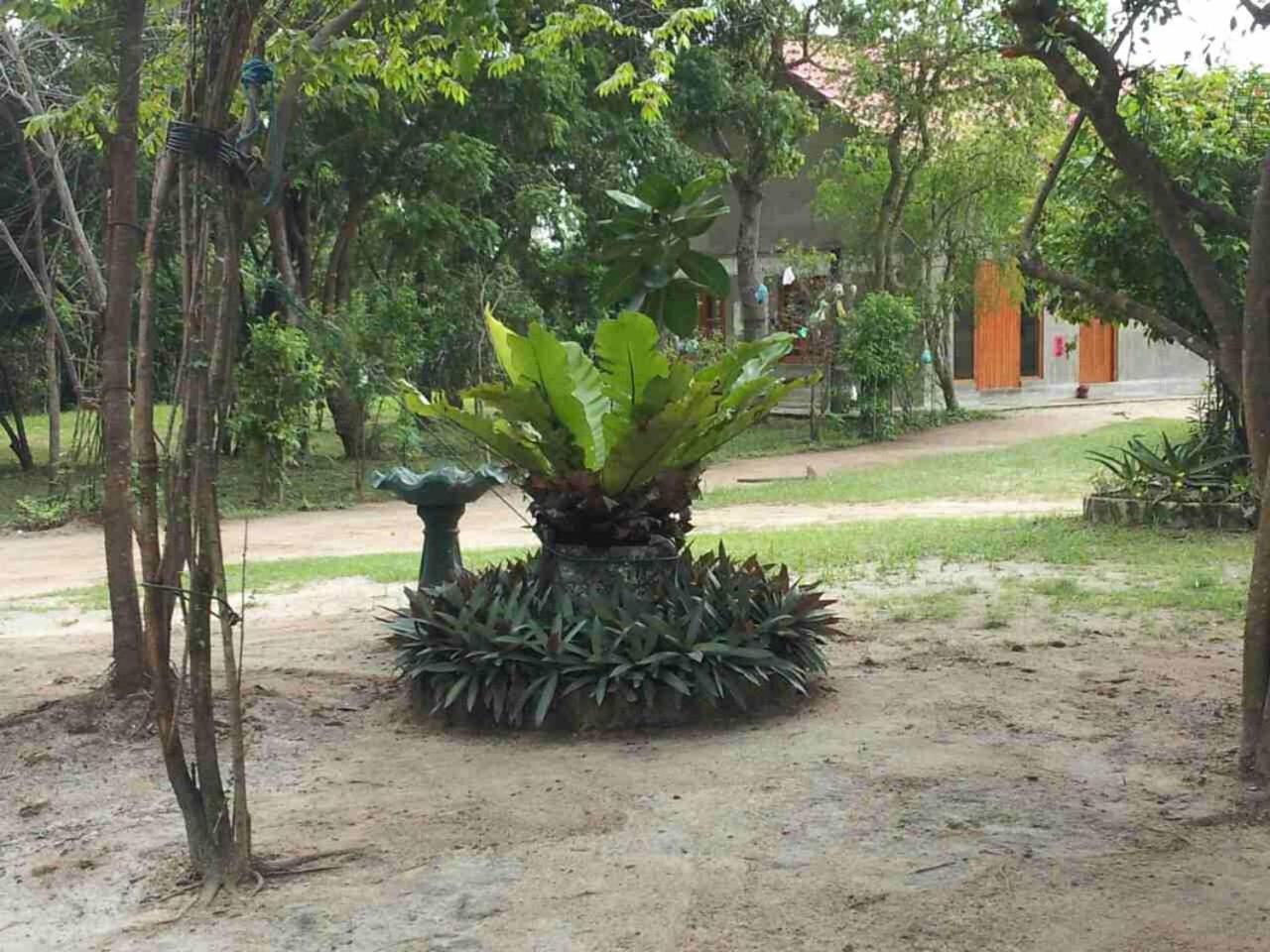 Captain'S Bird Safari Lodge Puttalam Luaran gambar