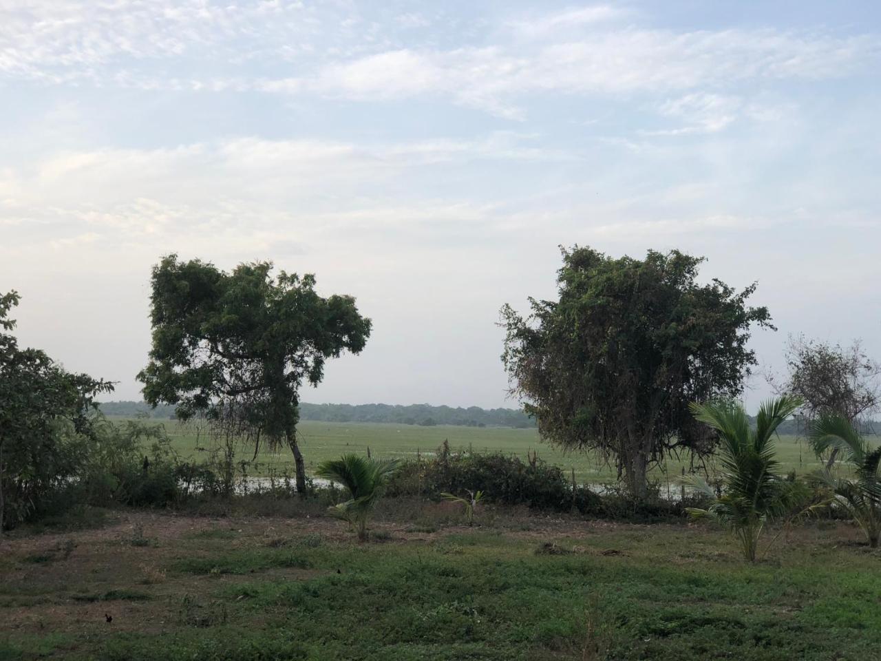 Captain'S Bird Safari Lodge Puttalam Luaran gambar