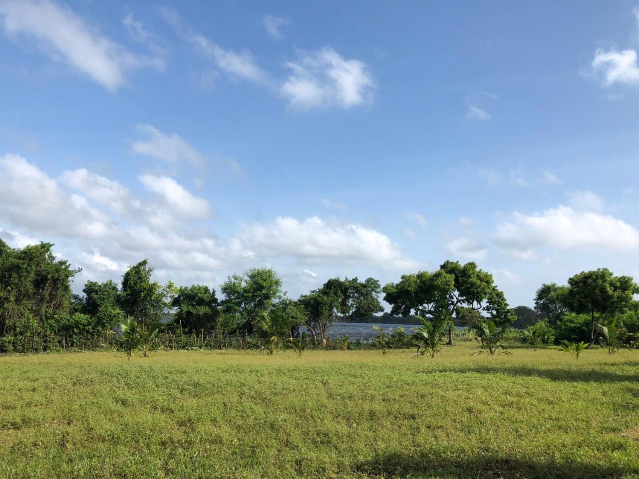 Captain'S Bird Safari Lodge Puttalam Luaran gambar