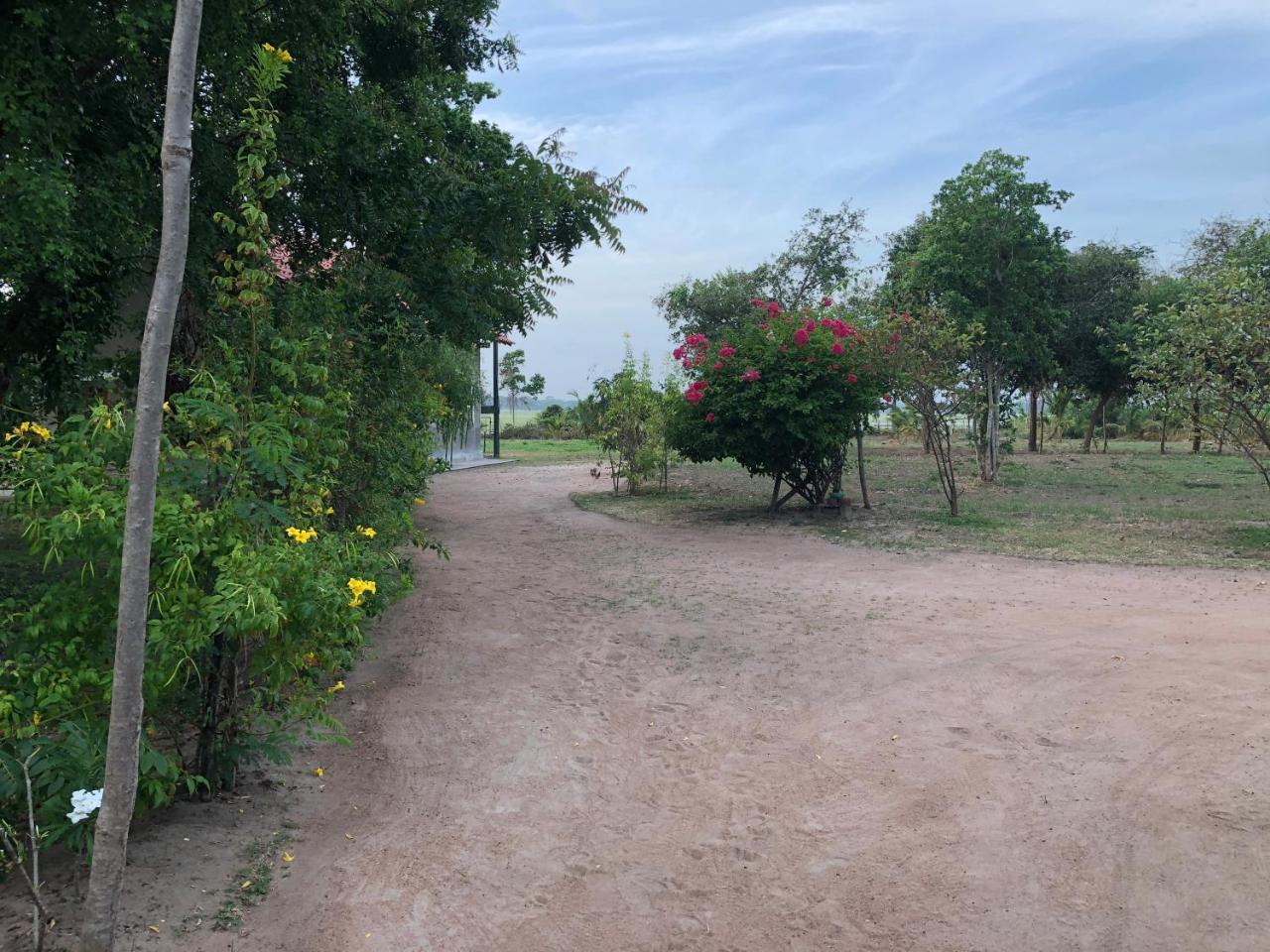 Captain'S Bird Safari Lodge Puttalam Luaran gambar