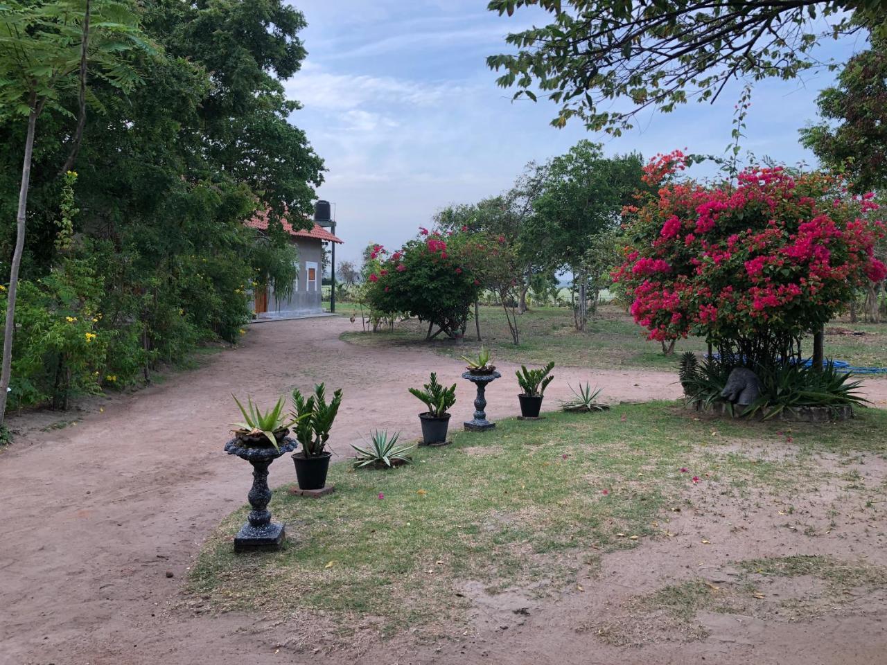 Captain'S Bird Safari Lodge Puttalam Luaran gambar