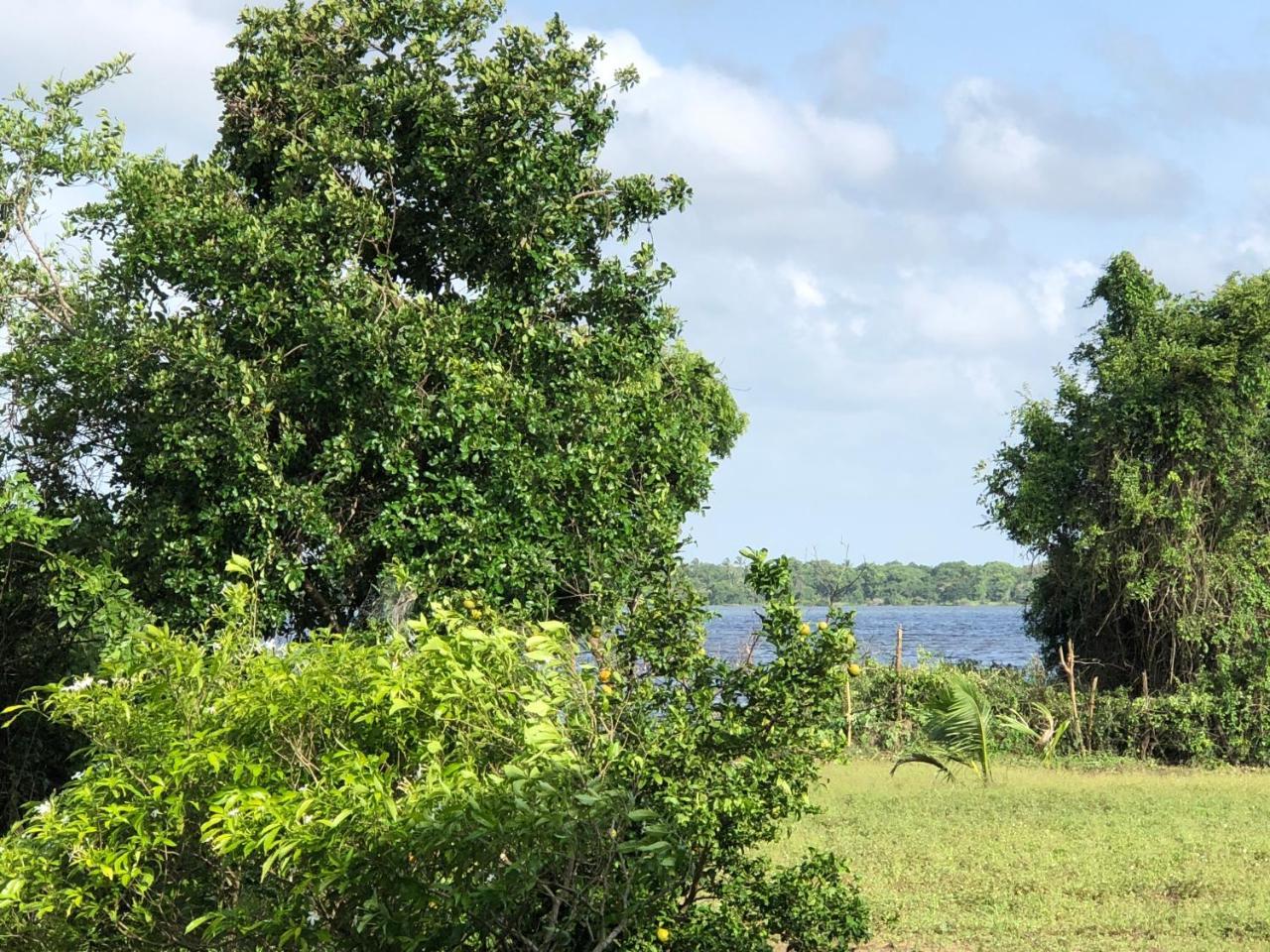 Captain'S Bird Safari Lodge Puttalam Luaran gambar