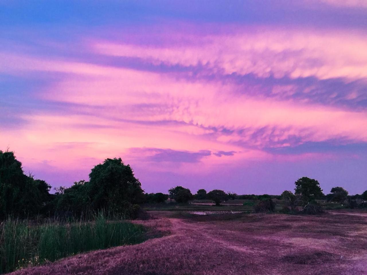 Captain'S Bird Safari Lodge Puttalam Luaran gambar