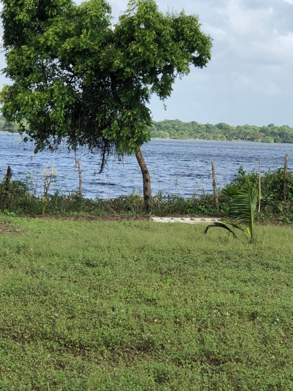 Captain'S Bird Safari Lodge Puttalam Luaran gambar
