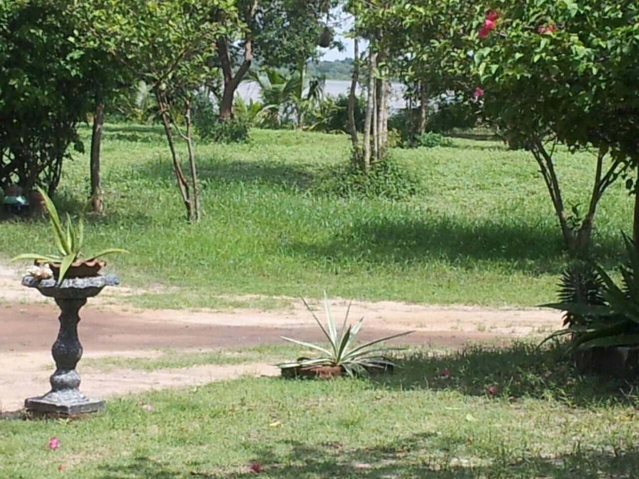 Captain'S Bird Safari Lodge Puttalam Luaran gambar