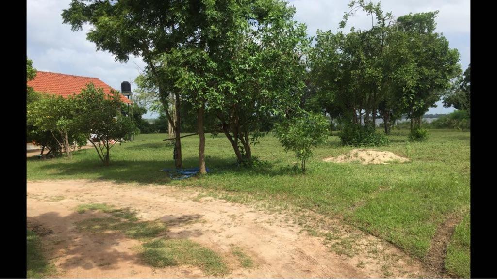 Captain'S Bird Safari Lodge Puttalam Luaran gambar