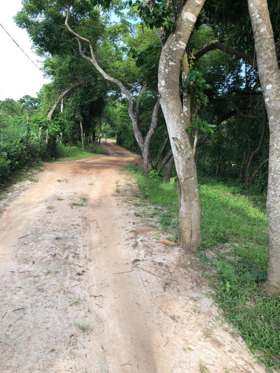 Captain'S Bird Safari Lodge Puttalam Luaran gambar