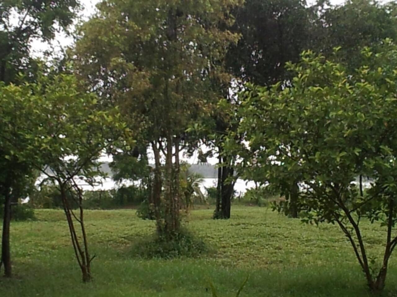 Captain'S Bird Safari Lodge Puttalam Luaran gambar