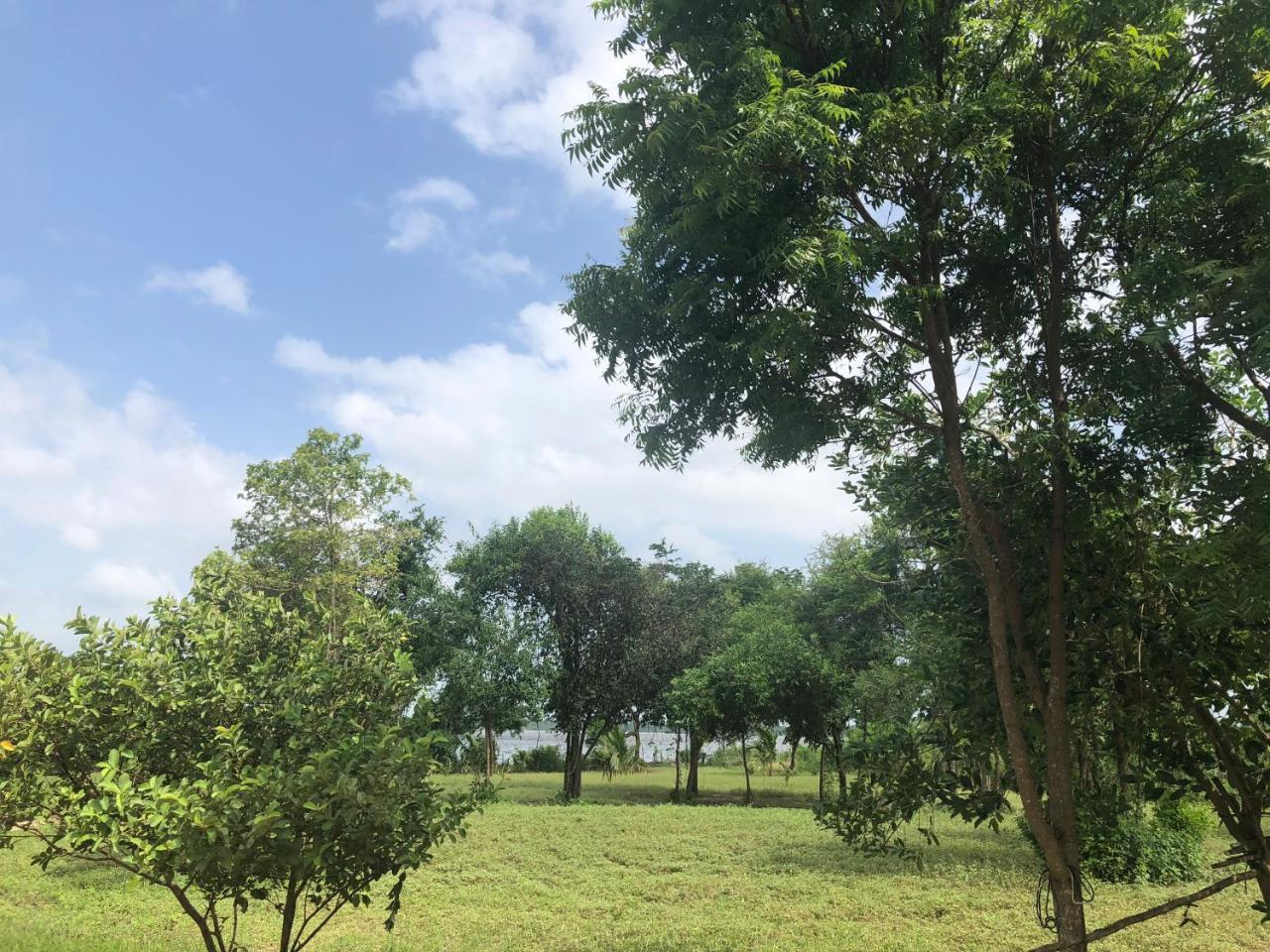 Captain'S Bird Safari Lodge Puttalam Luaran gambar