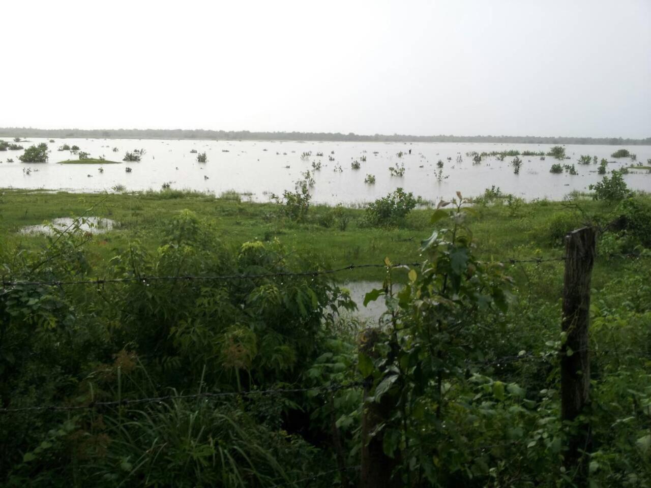 Captain'S Bird Safari Lodge Puttalam Luaran gambar