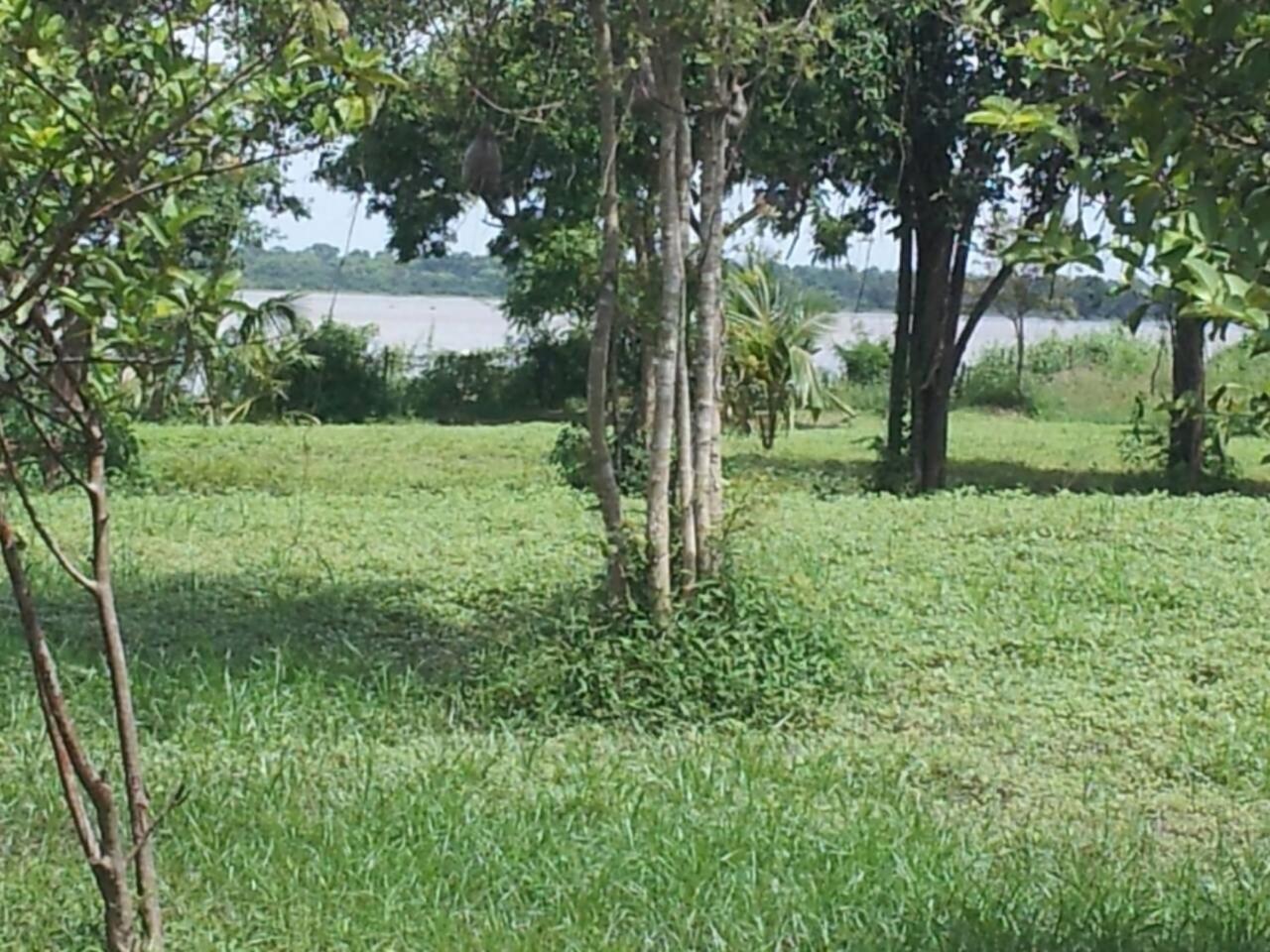 Captain'S Bird Safari Lodge Puttalam Luaran gambar