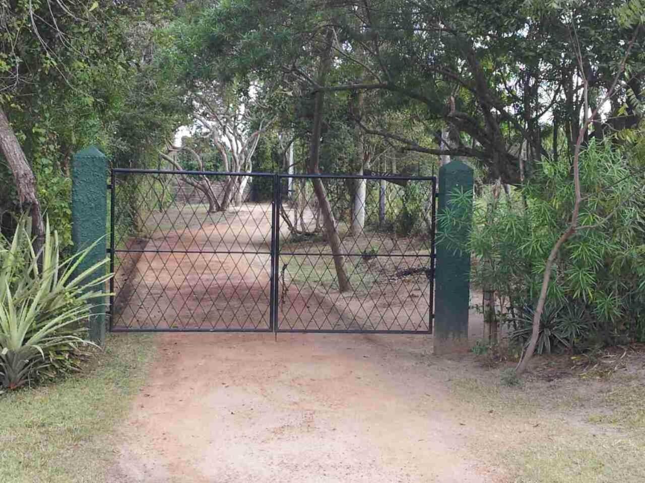 Captain'S Bird Safari Lodge Puttalam Luaran gambar