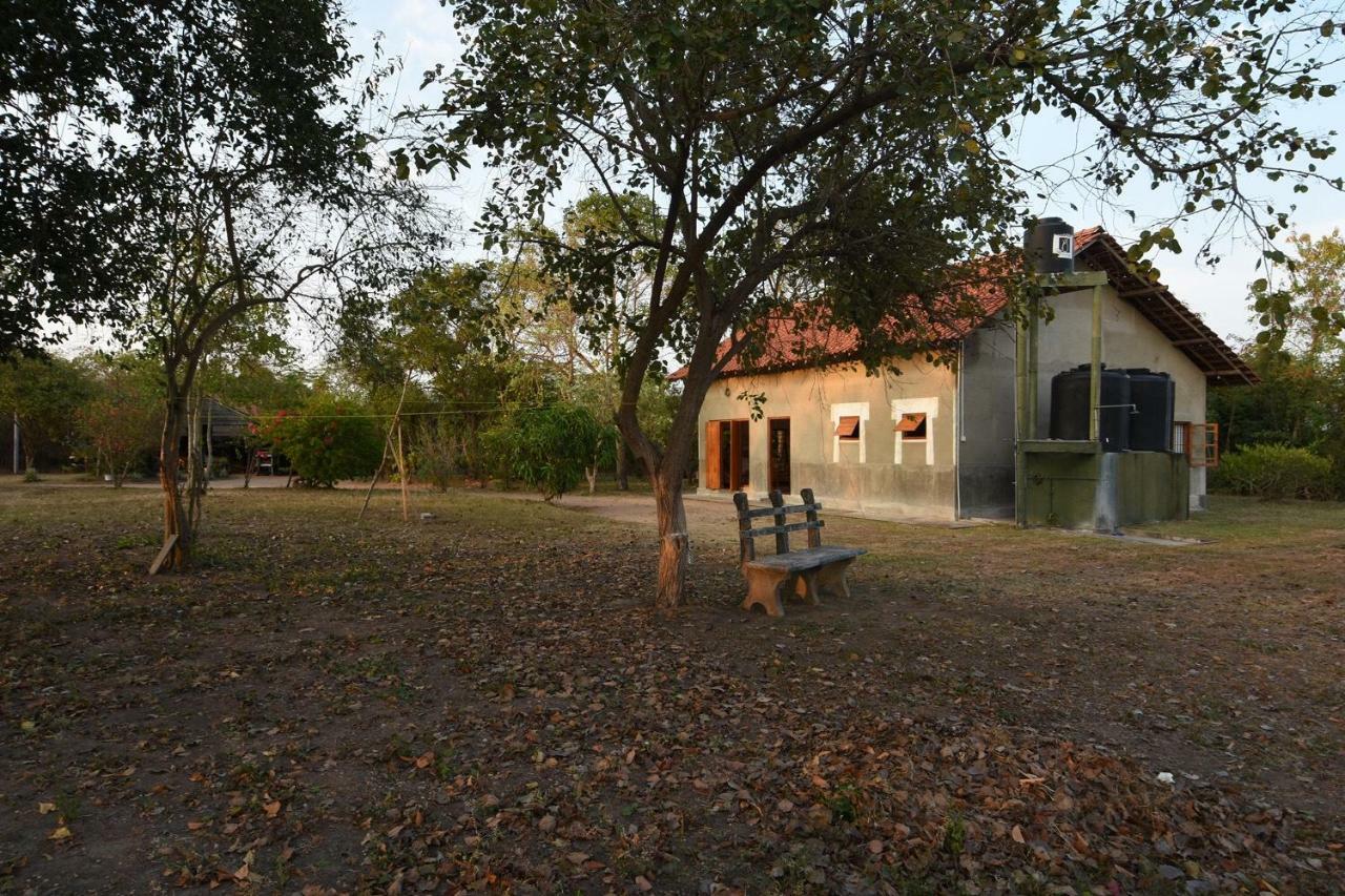 Captain'S Bird Safari Lodge Puttalam Luaran gambar